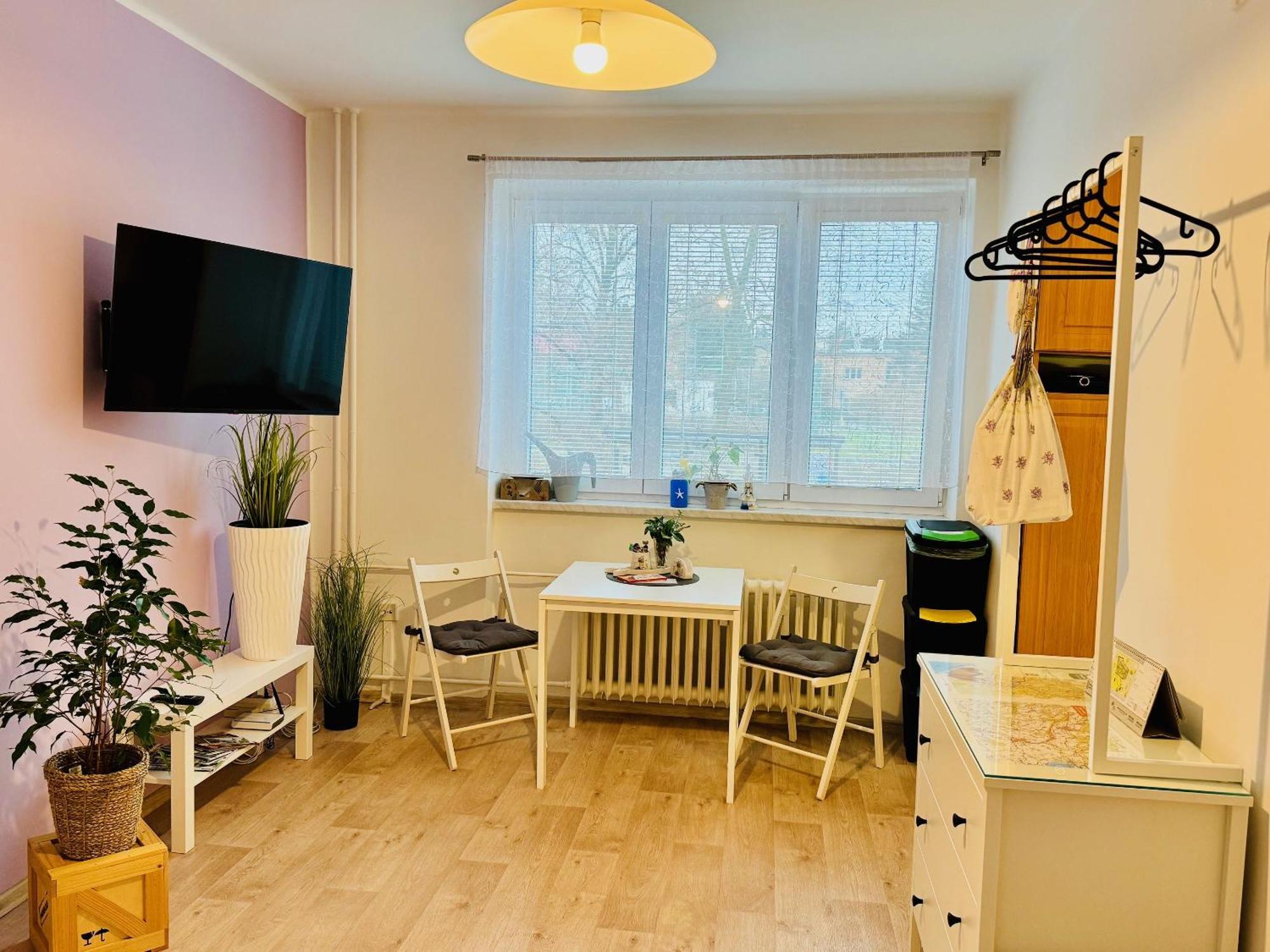 Garsonka Ve Dvore Apartment