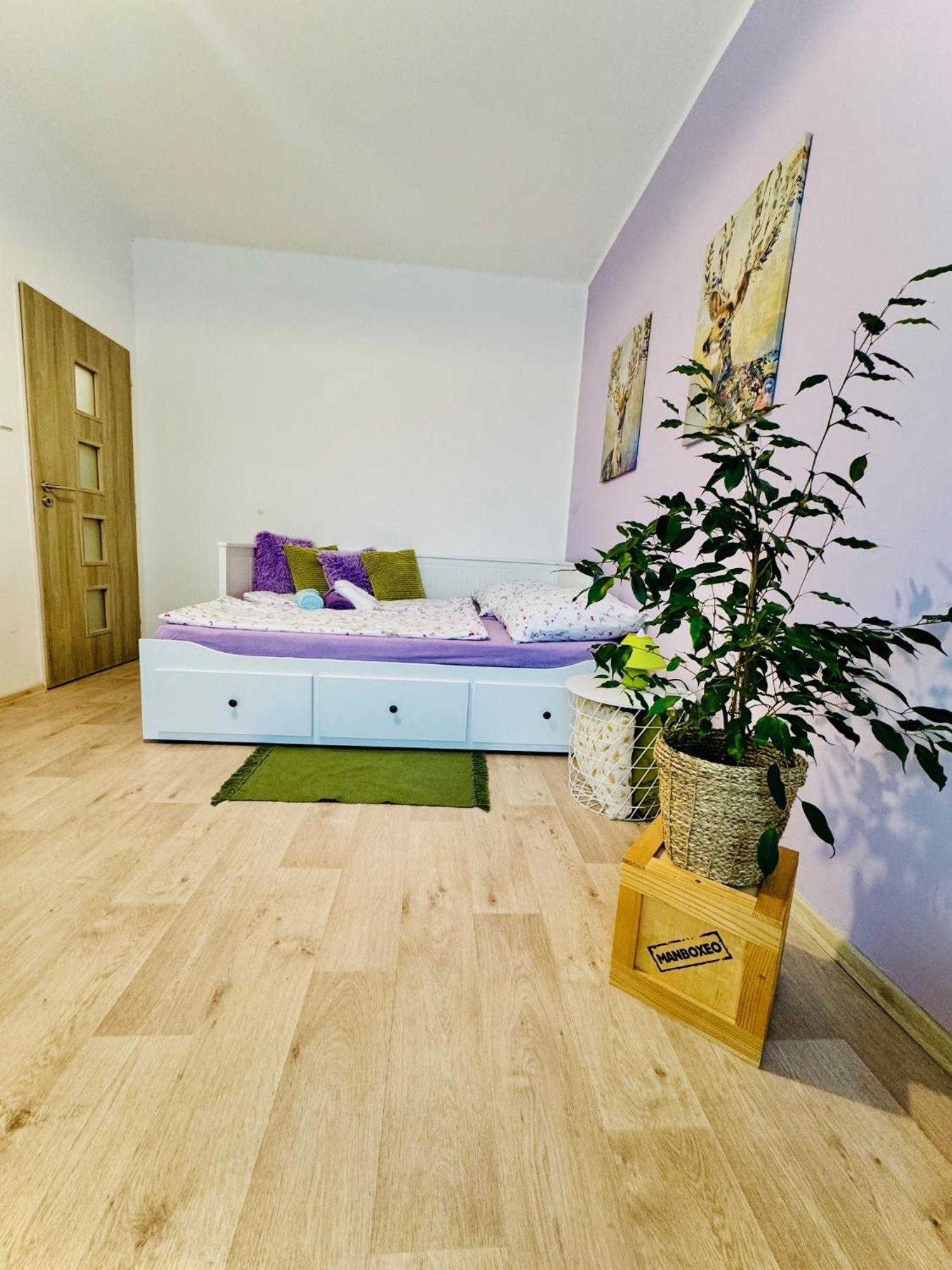 Garsonka Ve Dvore Apartment