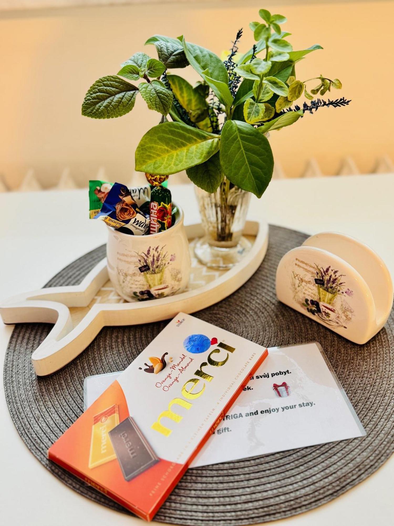 Apartment Garsonka Ve Dvore